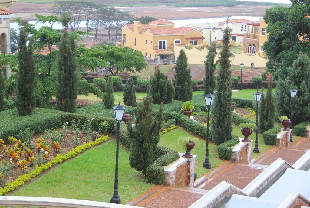 Natural hedges for your urban home