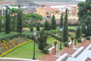 Natural hedges for your urban home