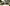 FF Camera 1