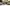 Mr Dn 22 Camera 1