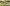 r Camera 002