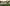 r Camera 006