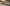 r Original Camera