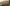 ew Camera 004