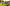 tr4w Camera 003