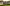 tr4w Camera 004