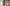 tr4w Camera 009