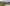 frew Camera 003