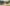frew Camera 004